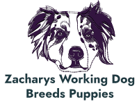 ZACHARYS WORKING DOG BREEDS